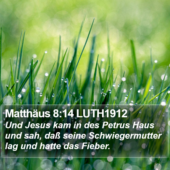 Matthäus 8:14 LUTH1912 Bible Study