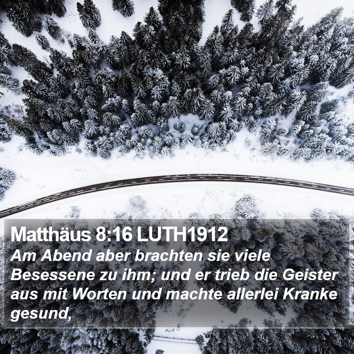 Matthäus 8:16 LUTH1912 Bible Study