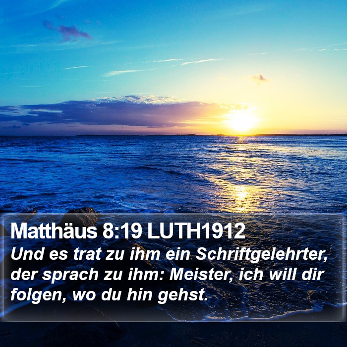 Matthäus 8:19 LUTH1912 Bible Study