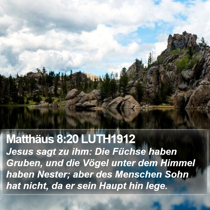 Matthäus 8:20 LUTH1912 Bible Study