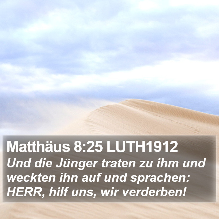 Matthäus 8:25 LUTH1912 Bible Study