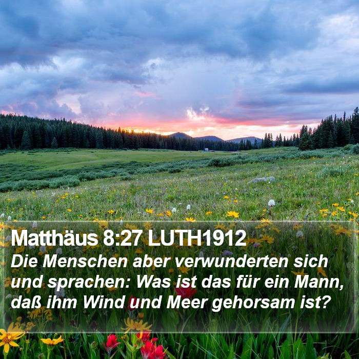 Matthäus 8:27 LUTH1912 Bible Study