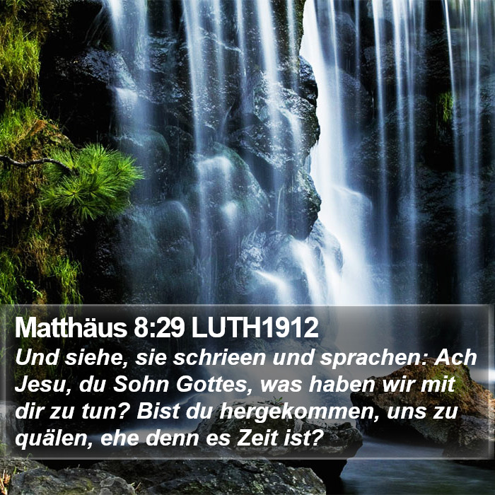 Matthäus 8:29 LUTH1912 Bible Study