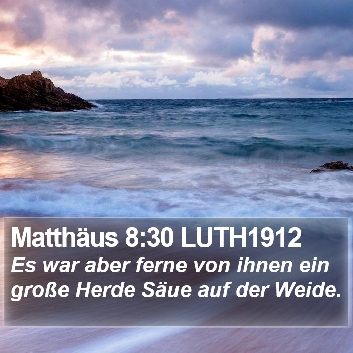 Matthäus 8:30 LUTH1912 Bible Study