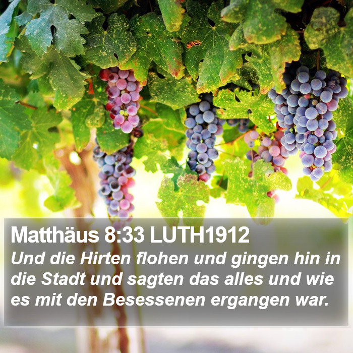 Matthäus 8:33 LUTH1912 Bible Study