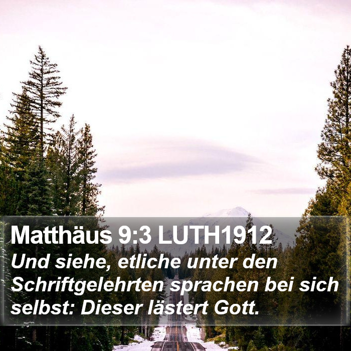 Matthäus 9:3 LUTH1912 Bible Study