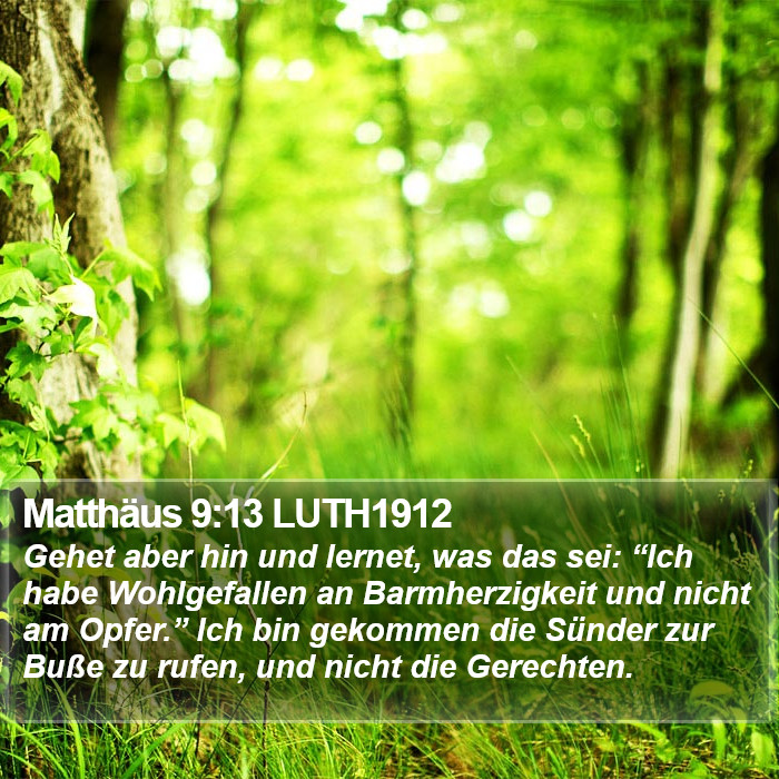 Matthäus 9:13 LUTH1912 Bible Study