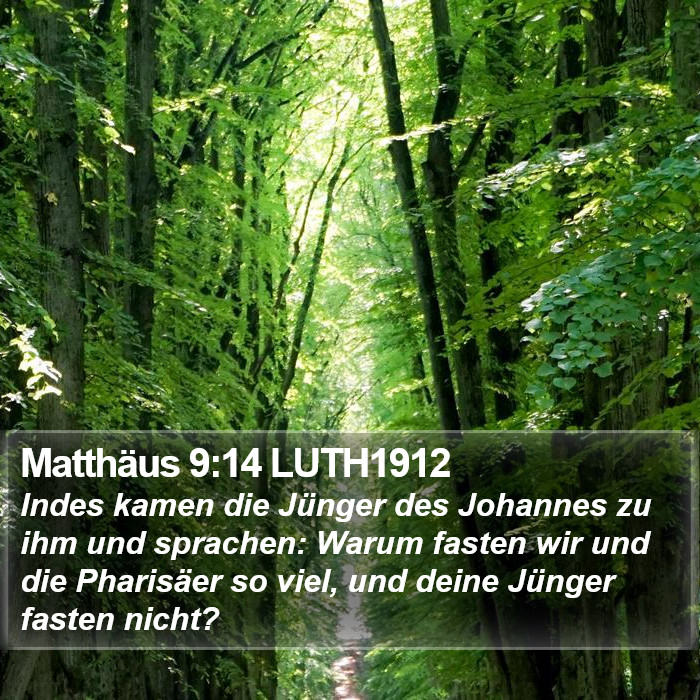 Matthäus 9:14 LUTH1912 Bible Study