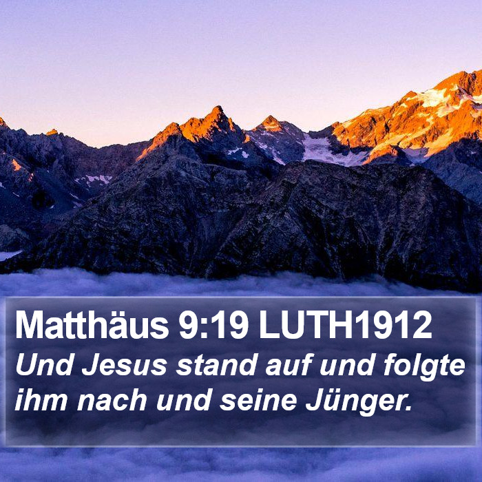 Matthäus 9:19 LUTH1912 Bible Study