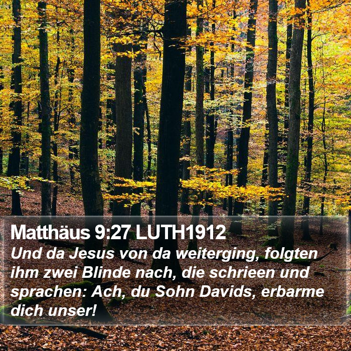 Matthäus 9:27 LUTH1912 Bible Study