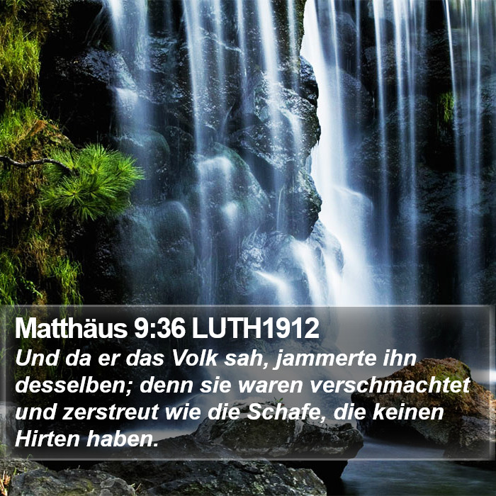 Matthäus 9:36 LUTH1912 Bible Study