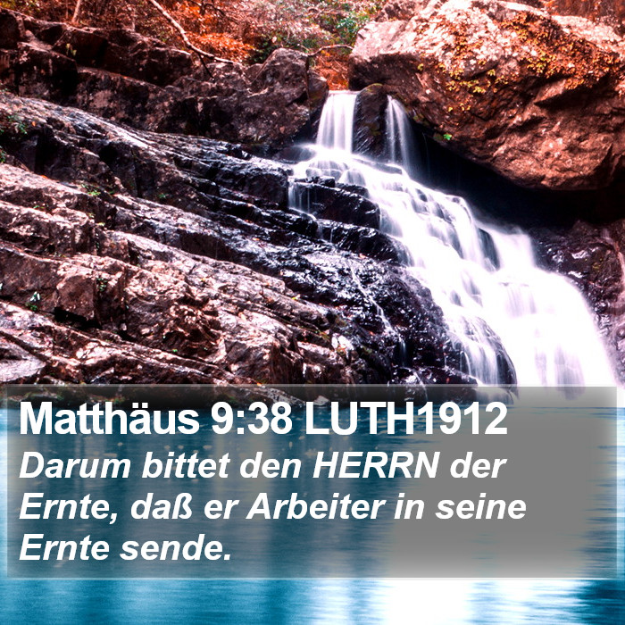 Matthäus 9:38 LUTH1912 Bible Study