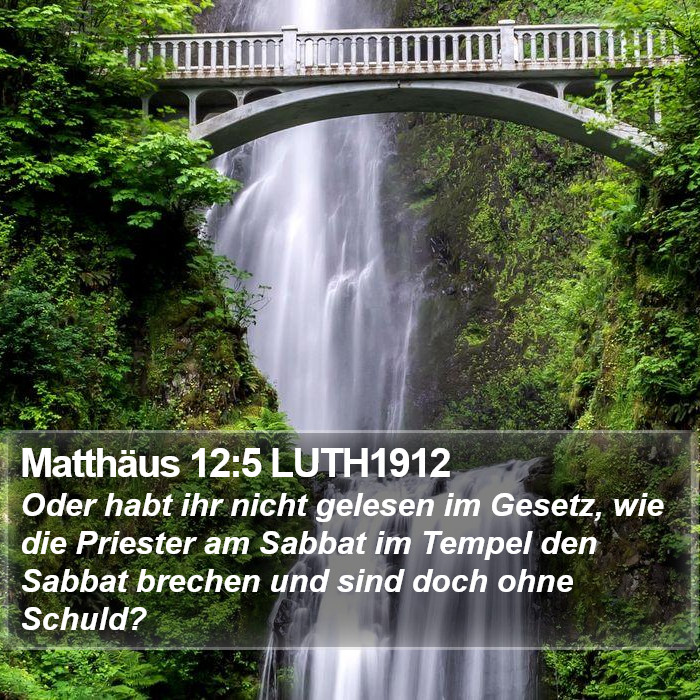 Matthäus 12:5 LUTH1912 Bible Study