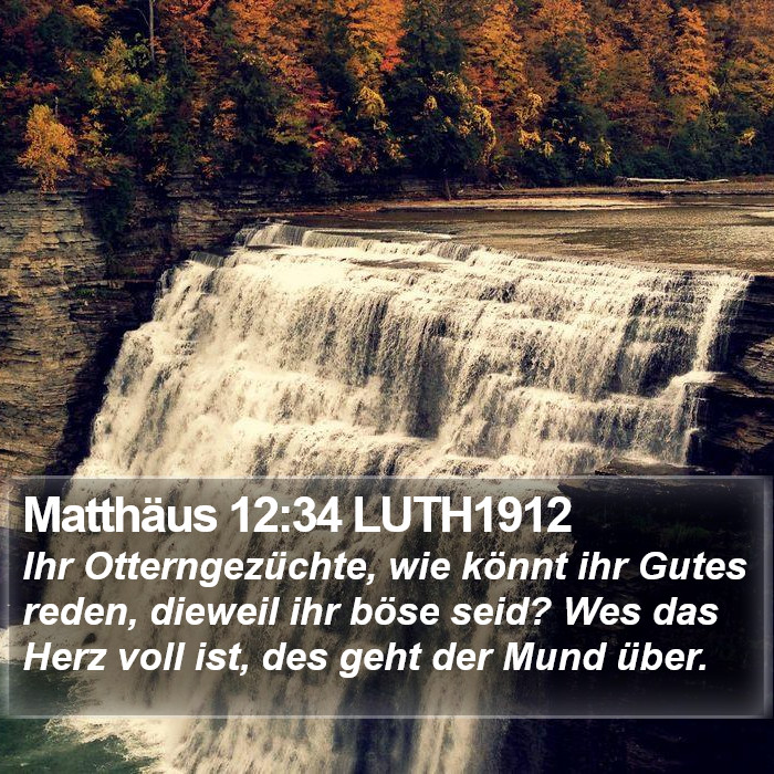 Matthäus 12:34 LUTH1912 Bible Study