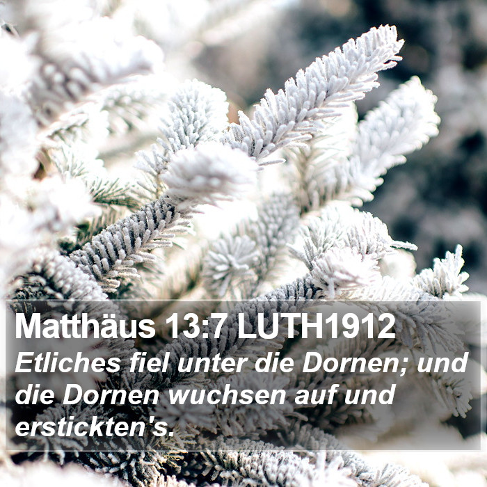 Matthäus 13:7 LUTH1912 Bible Study