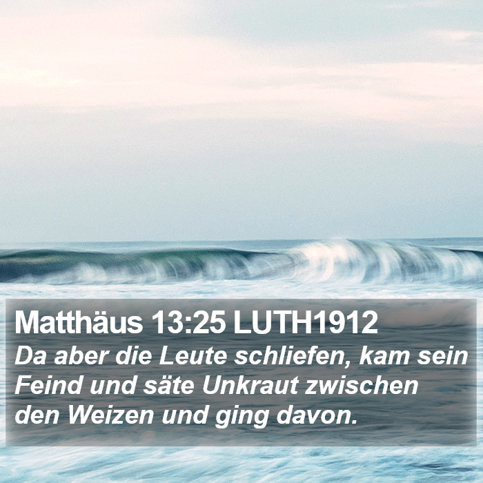 Matthäus 13:25 LUTH1912 Bible Study