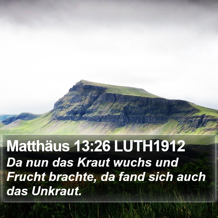 Matthäus 13:26 LUTH1912 Bible Study