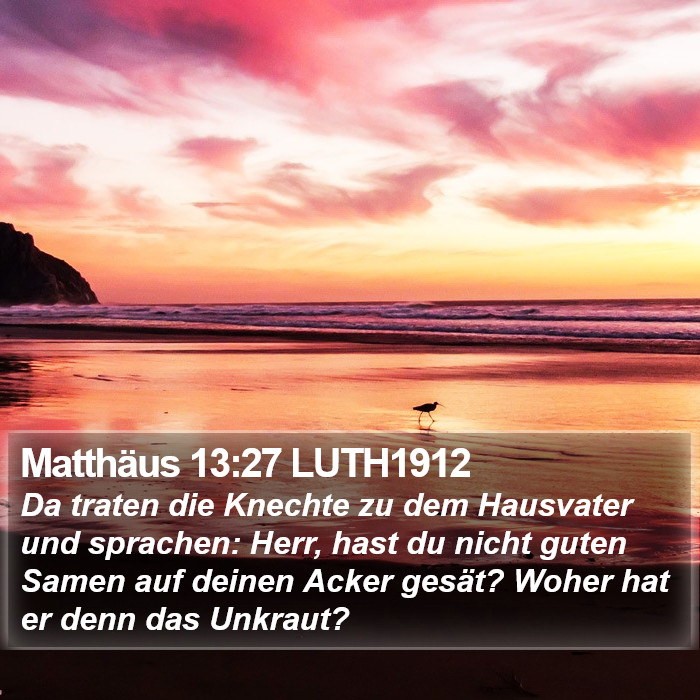 Matthäus 13:27 LUTH1912 Bible Study