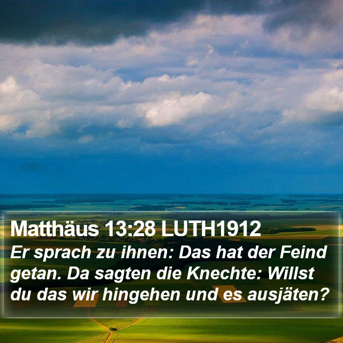 Matthäus 13:28 LUTH1912 Bible Study