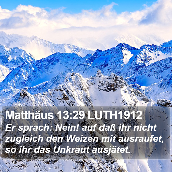 Matthäus 13:29 LUTH1912 Bible Study