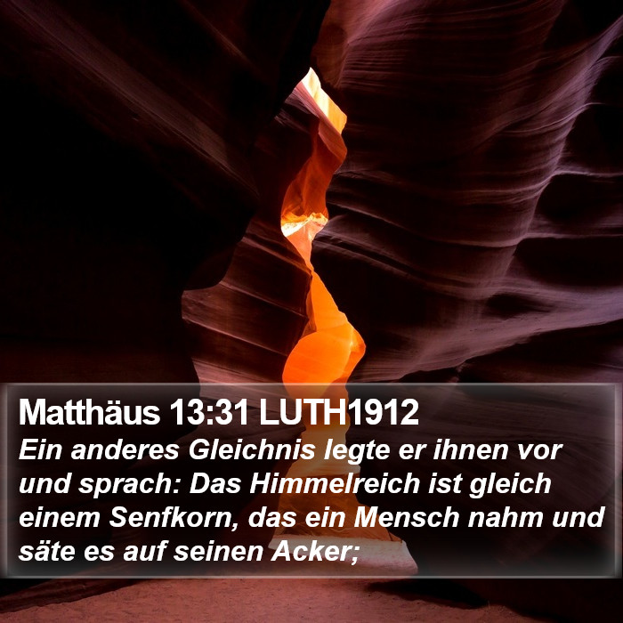 Matthäus 13:31 LUTH1912 Bible Study