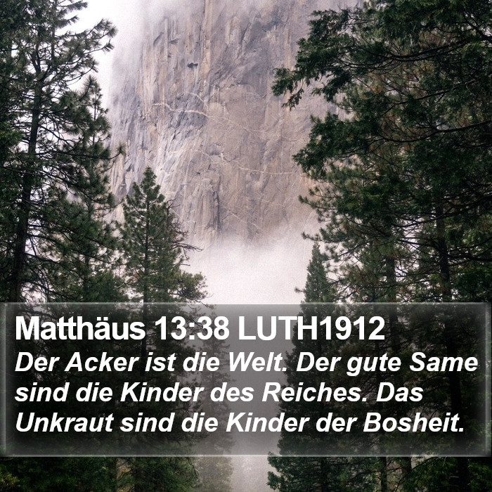 Matthäus 13:38 LUTH1912 Bible Study