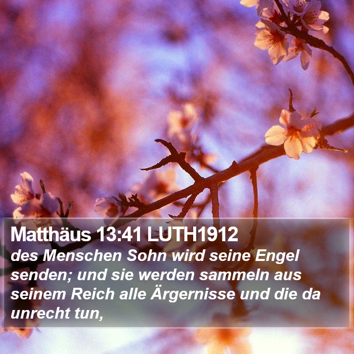 Matthäus 13:41 LUTH1912 Bible Study