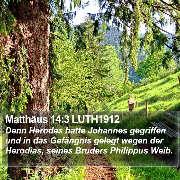 Matthäus 14:3 LUTH1912 Bible Study