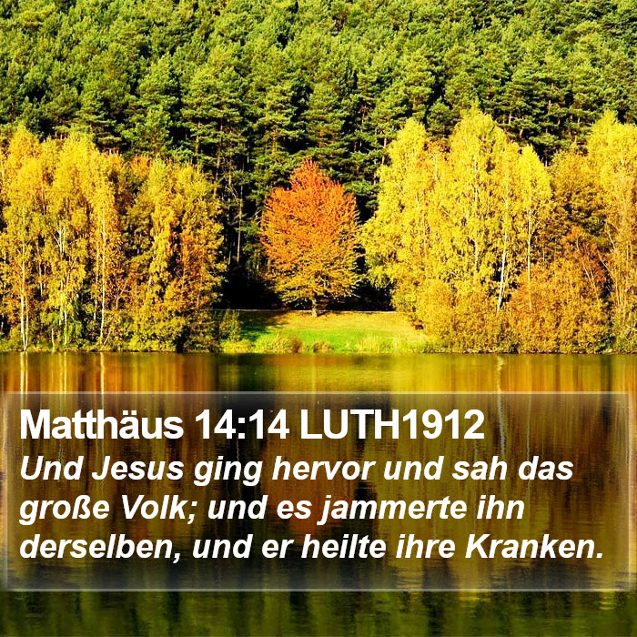 Matthäus 14:14 LUTH1912 Bible Study