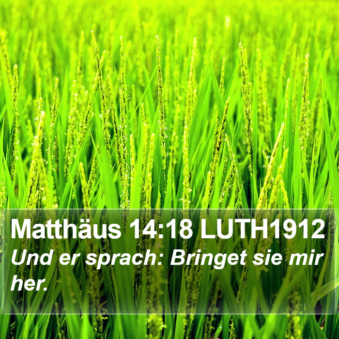 Matthäus 14:18 LUTH1912 Bible Study