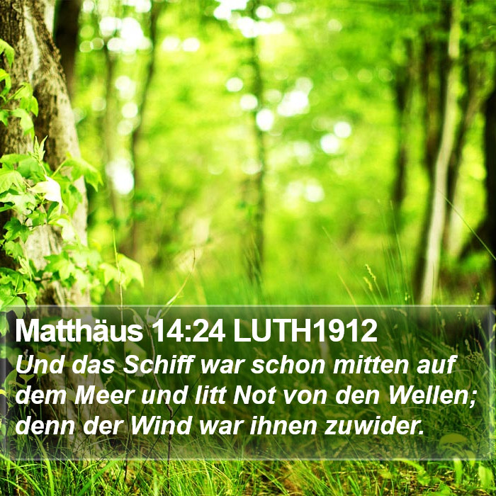 Matthäus 14:24 LUTH1912 Bible Study