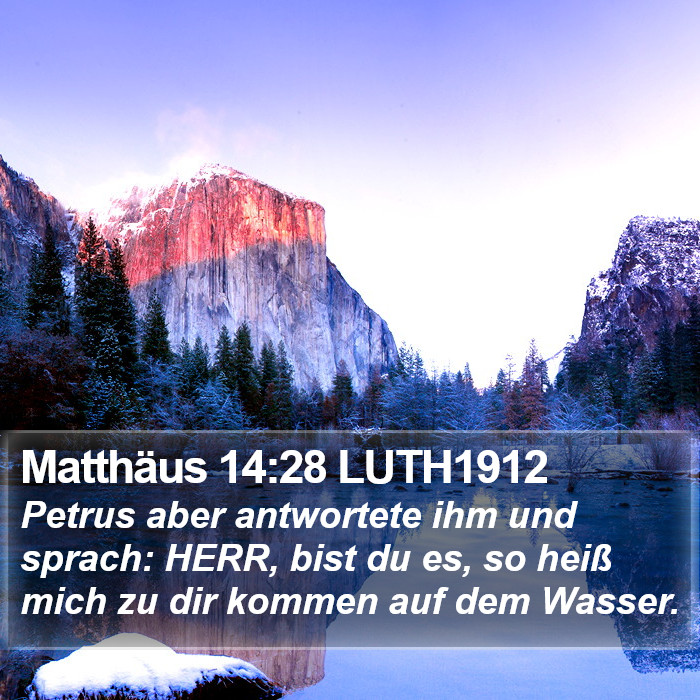 Matthäus 14:28 LUTH1912 Bible Study