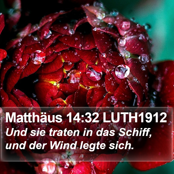 Matthäus 14:32 LUTH1912 Bible Study