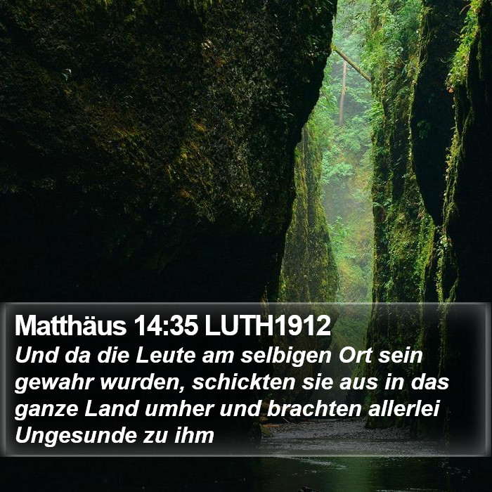 Matthäus 14:35 LUTH1912 Bible Study