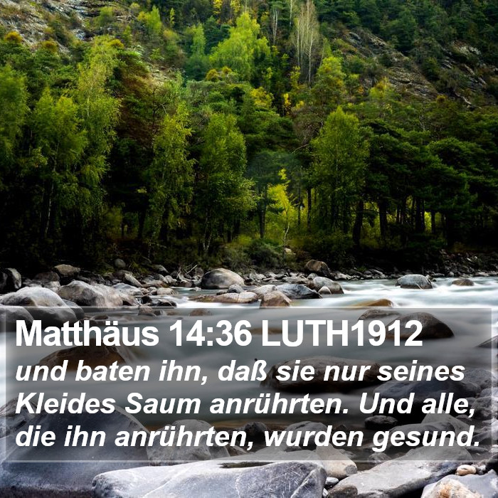 Matthäus 14:36 LUTH1912 Bible Study