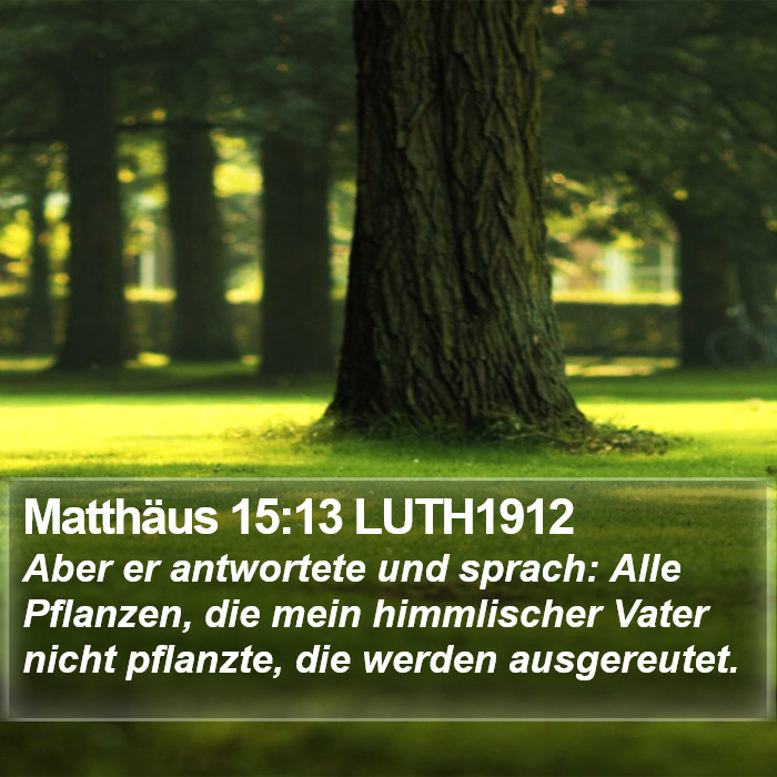 Matthäus 15:13 LUTH1912 Bible Study