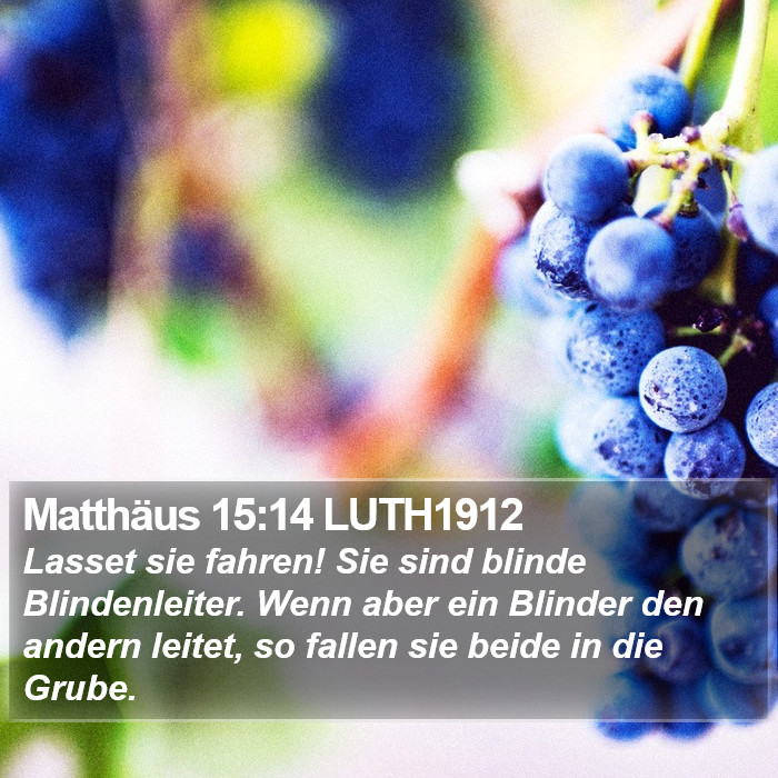 Matthäus 15:14 LUTH1912 Bible Study