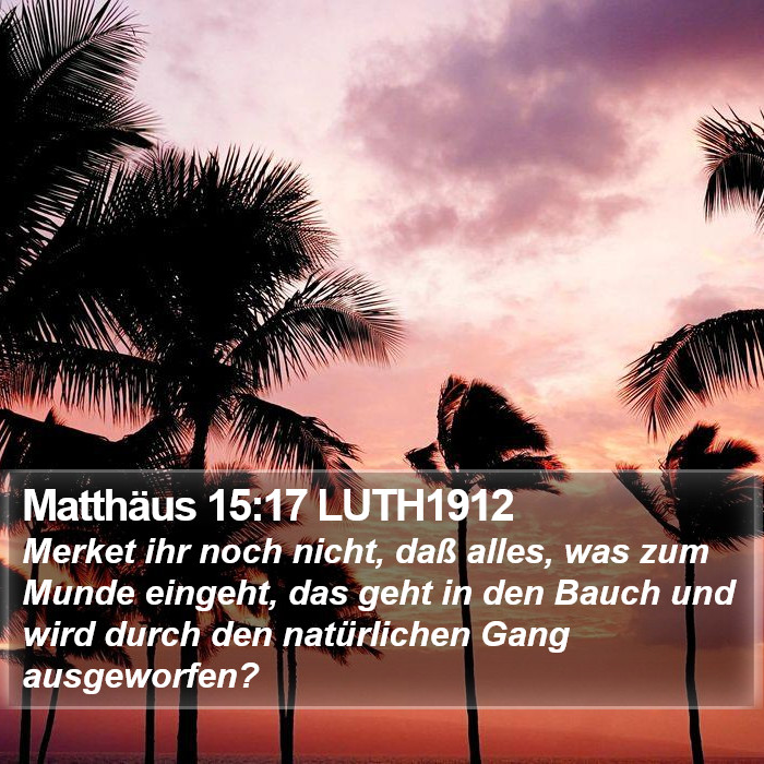 Matthäus 15:17 LUTH1912 Bible Study