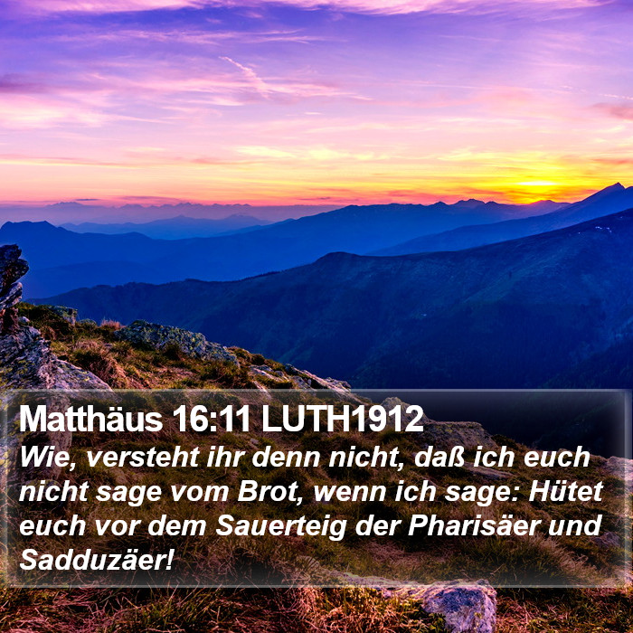 Matthäus 16:11 LUTH1912 Bible Study