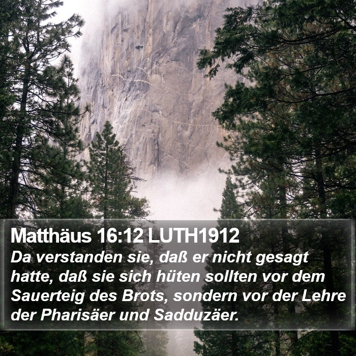 Matthäus 16:12 LUTH1912 Bible Study