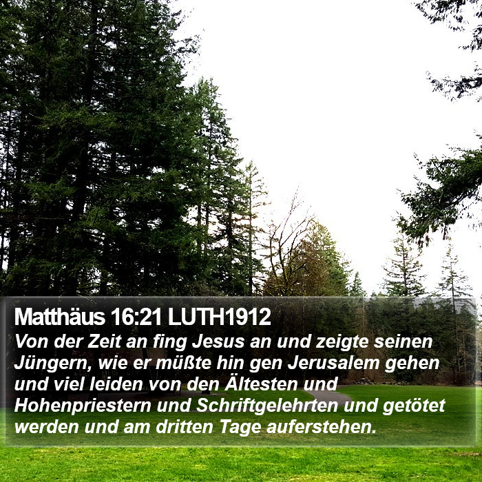 Matthäus 16:21 LUTH1912 Bible Study