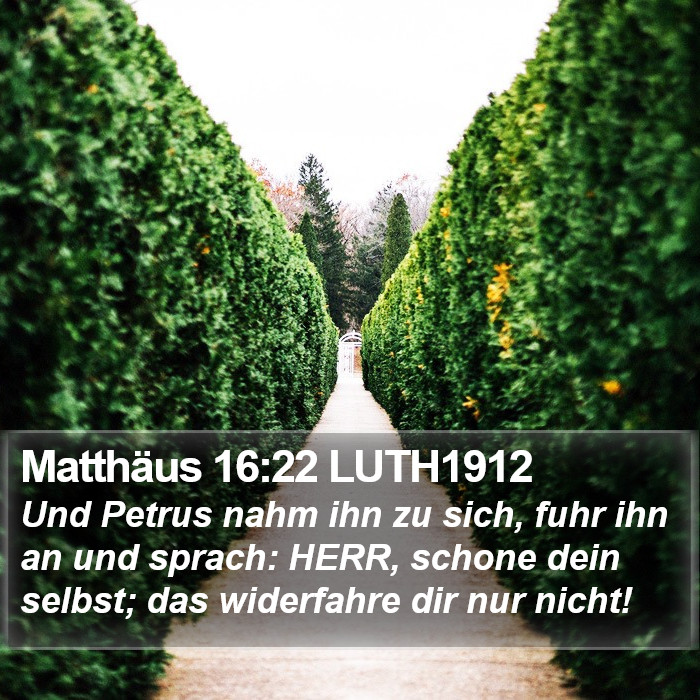 Matthäus 16:22 LUTH1912 Bible Study