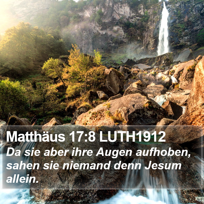 Matthäus 17:8 LUTH1912 Bible Study