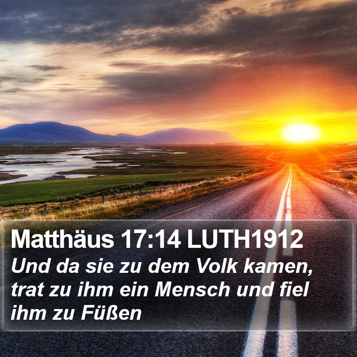 Matthäus 17:14 LUTH1912 Bible Study