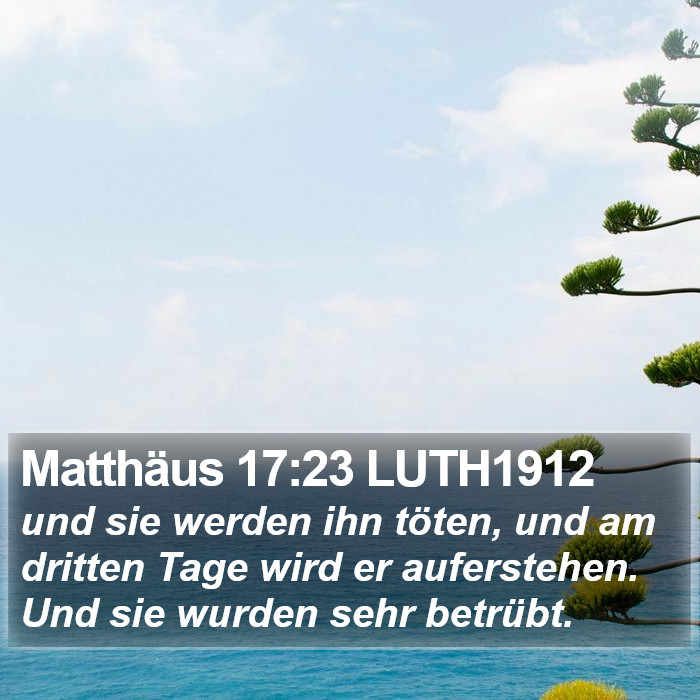 Matthäus 17:23 LUTH1912 Bible Study