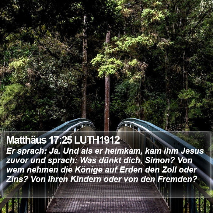 Matthäus 17:25 LUTH1912 Bible Study