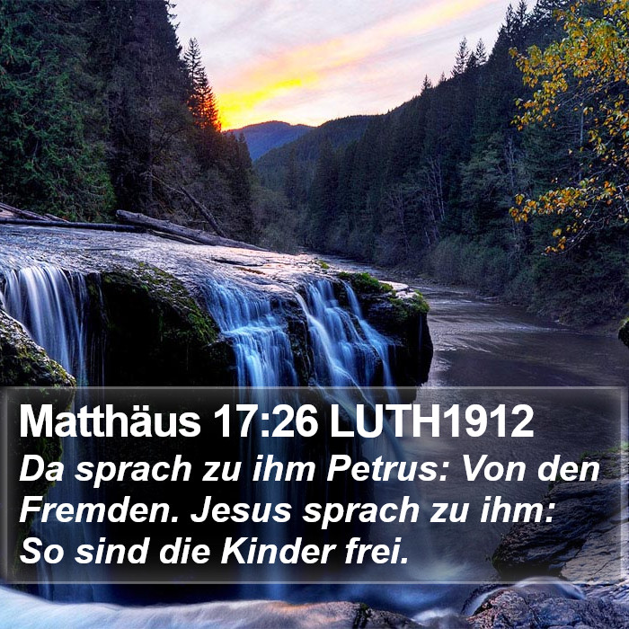 Matthäus 17:26 LUTH1912 Bible Study