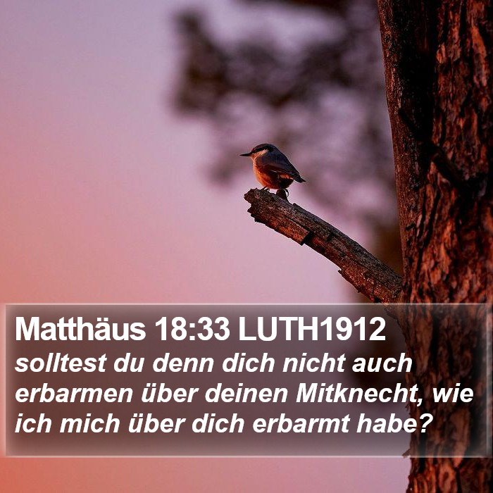 Matthäus 18:33 LUTH1912 Bible Study