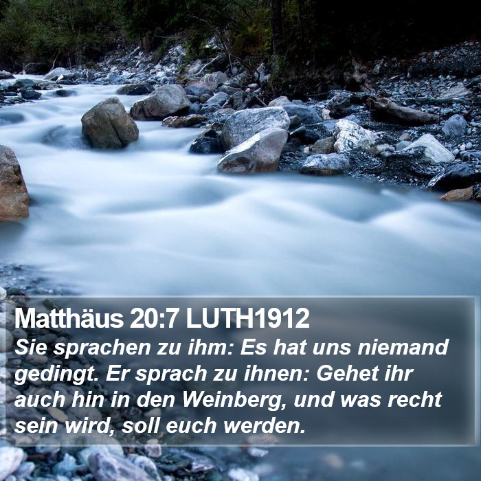 Matthäus 20:7 LUTH1912 Bible Study