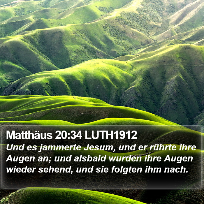 Matthäus 20:34 LUTH1912 Bible Study